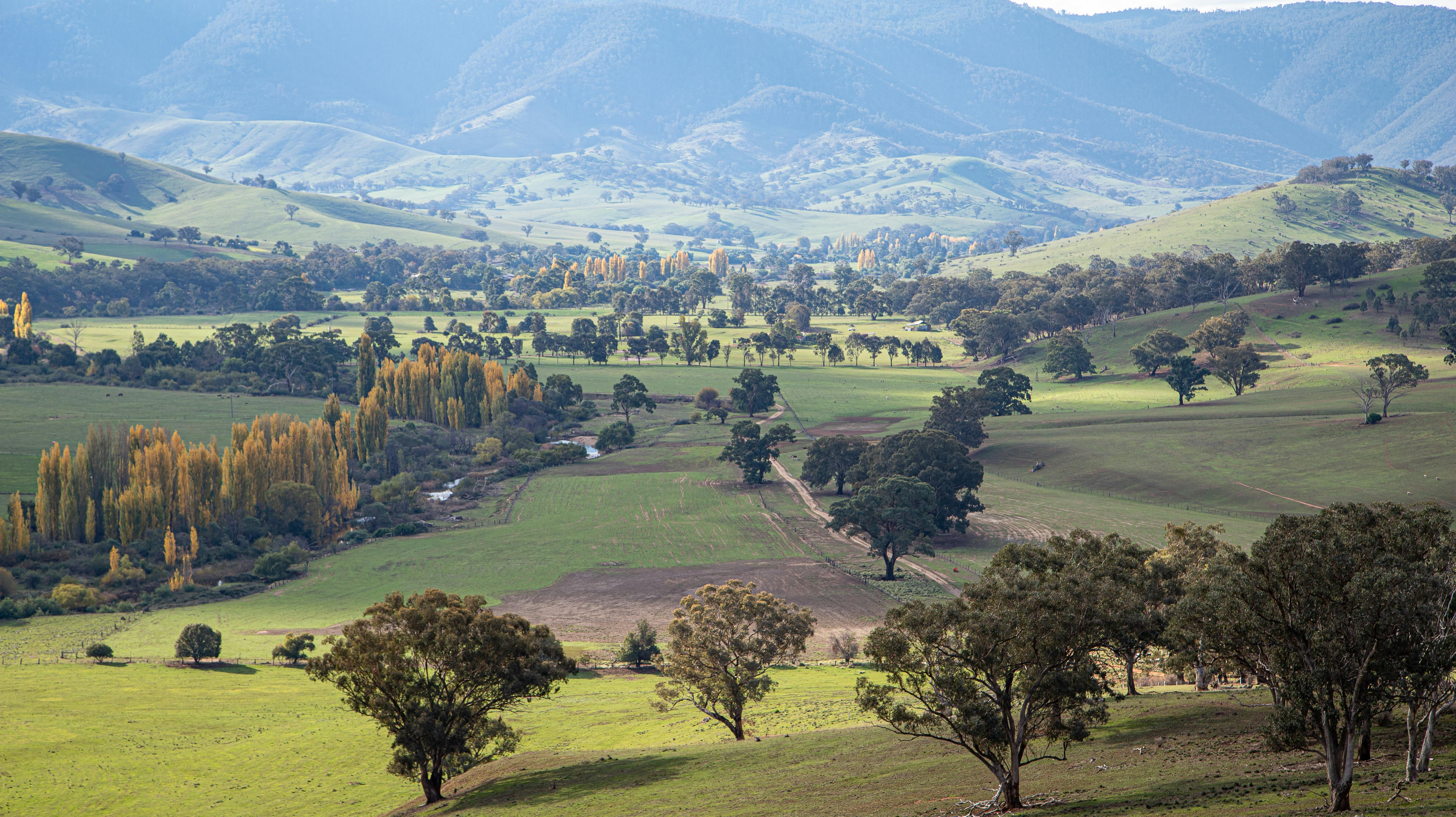 Tambo Valley