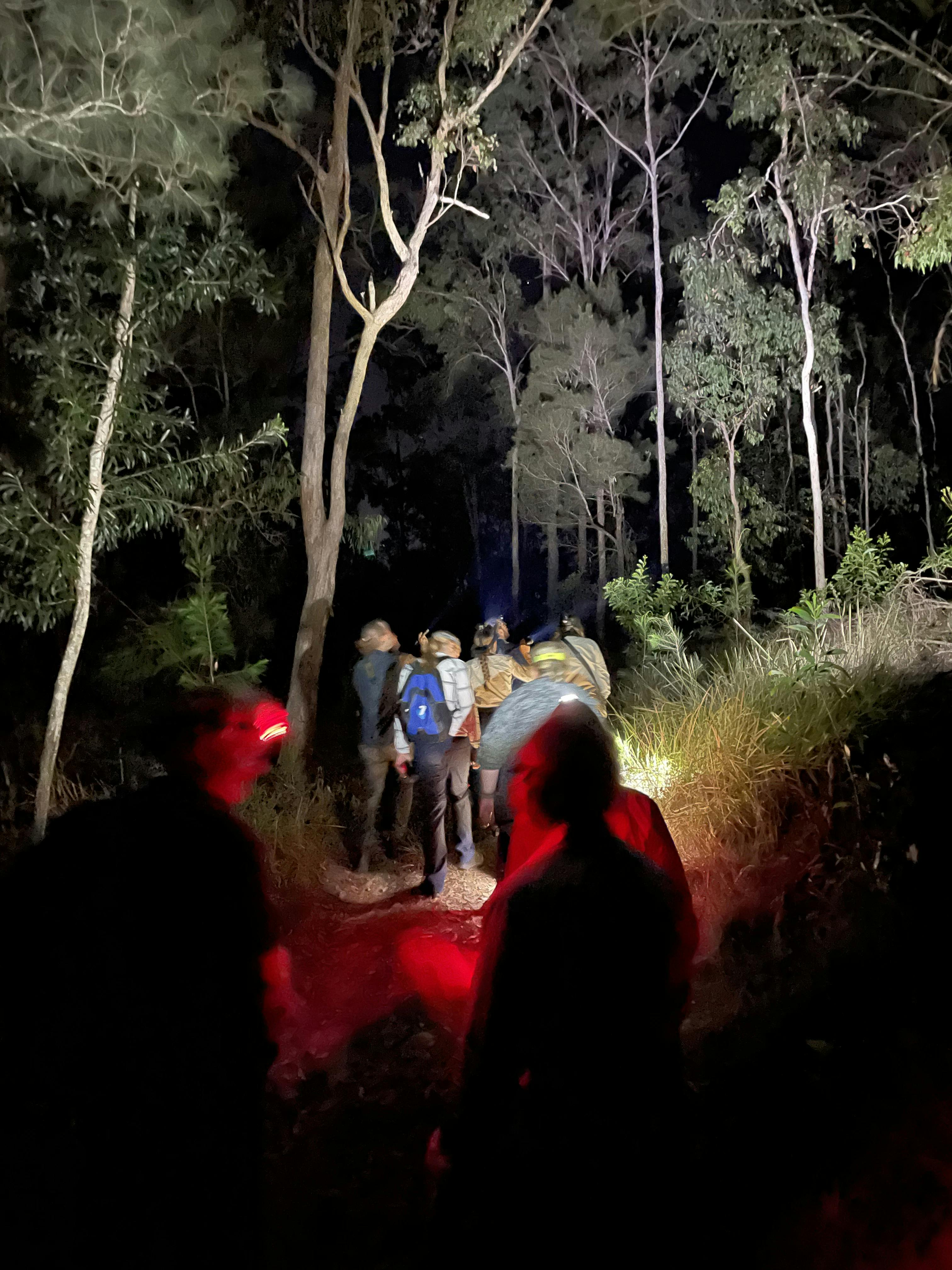 October Spotlighting activity_Kirribilli Park