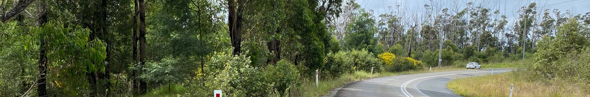 Lake Conjola Entrance Road