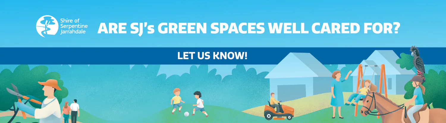 Are SJs Green Spaces Well Cared For