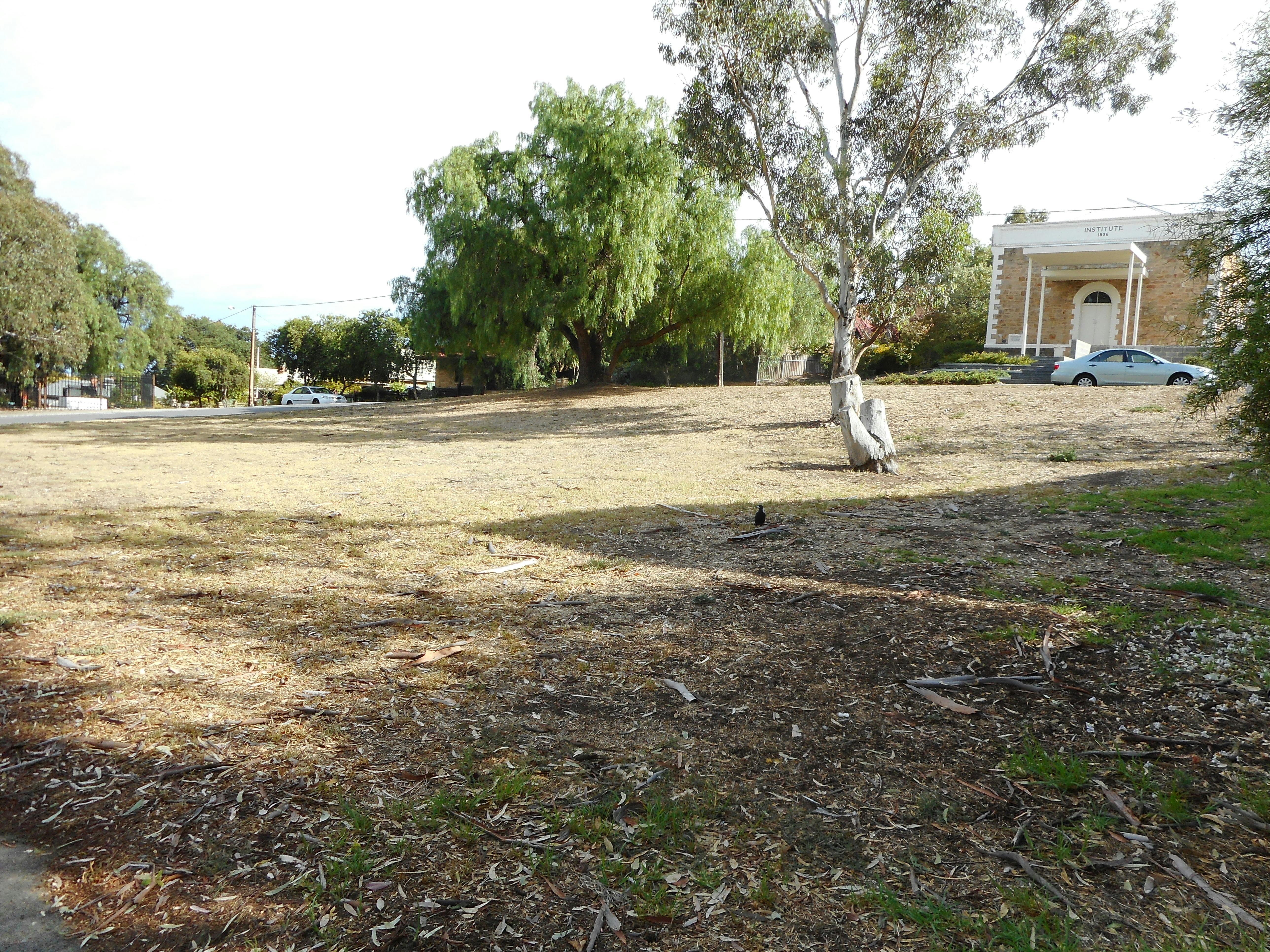 Looking over new park located at 1335A North East Road, Tea Tree Gully
