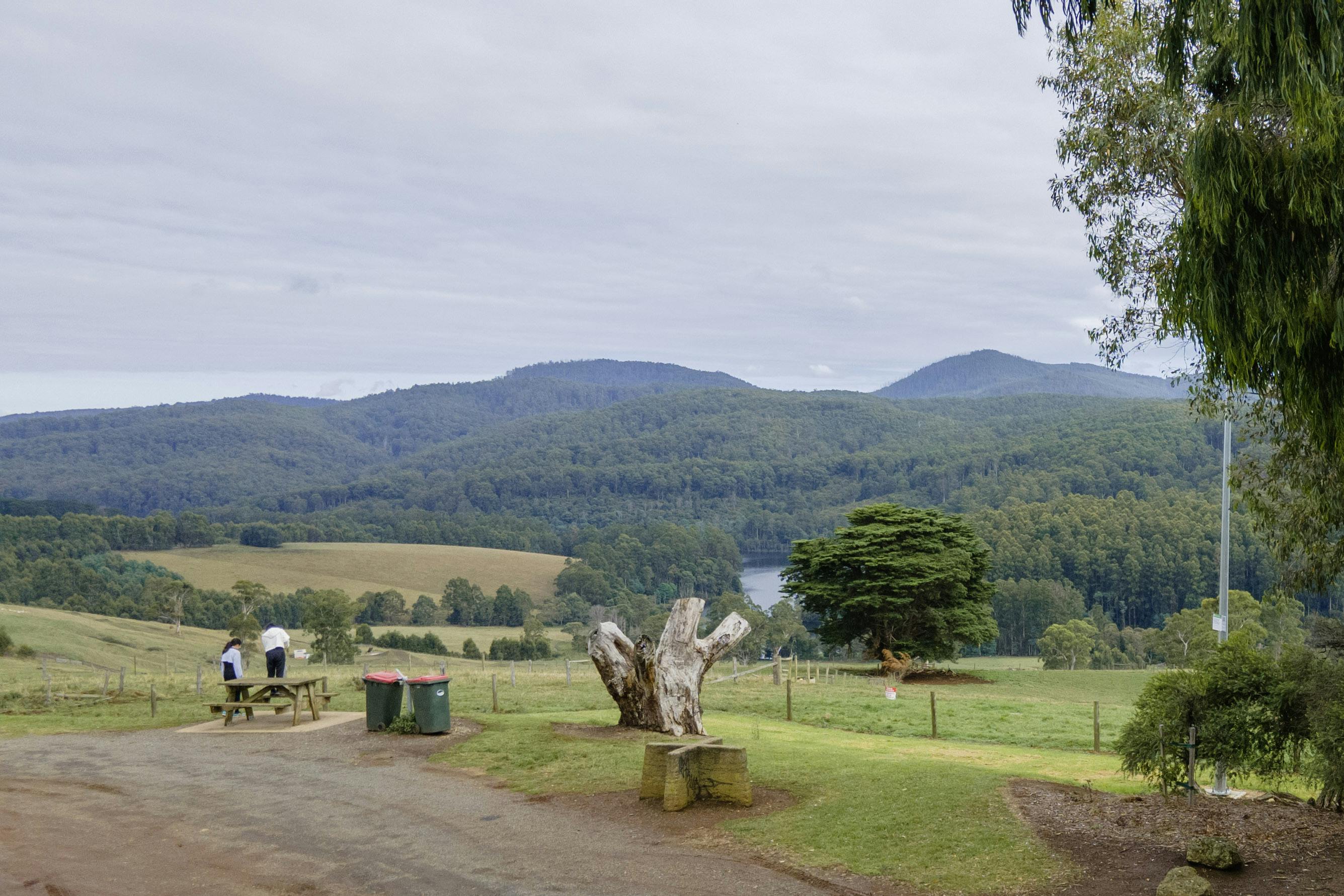 View of the landscape surrounding the lookout and picnic area