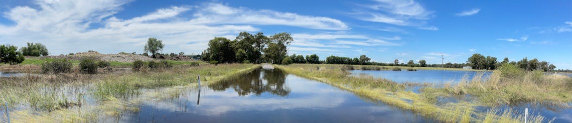 flooded farm