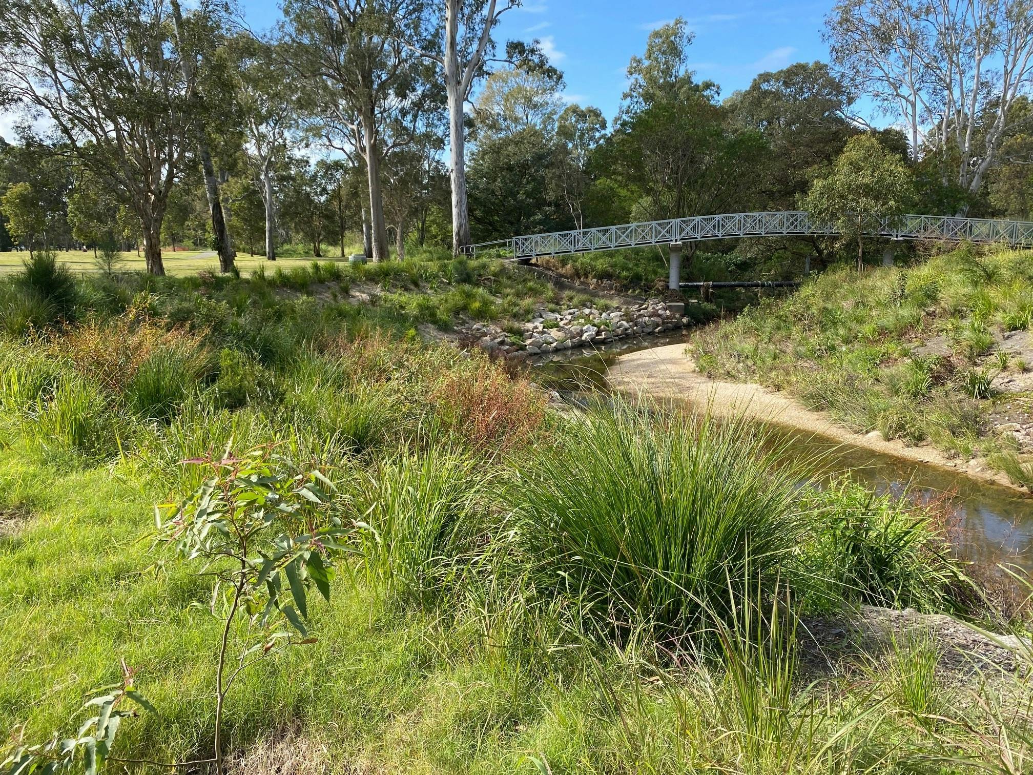 Downfall Creek - vegetation establishment in areas of the project completed during 2021