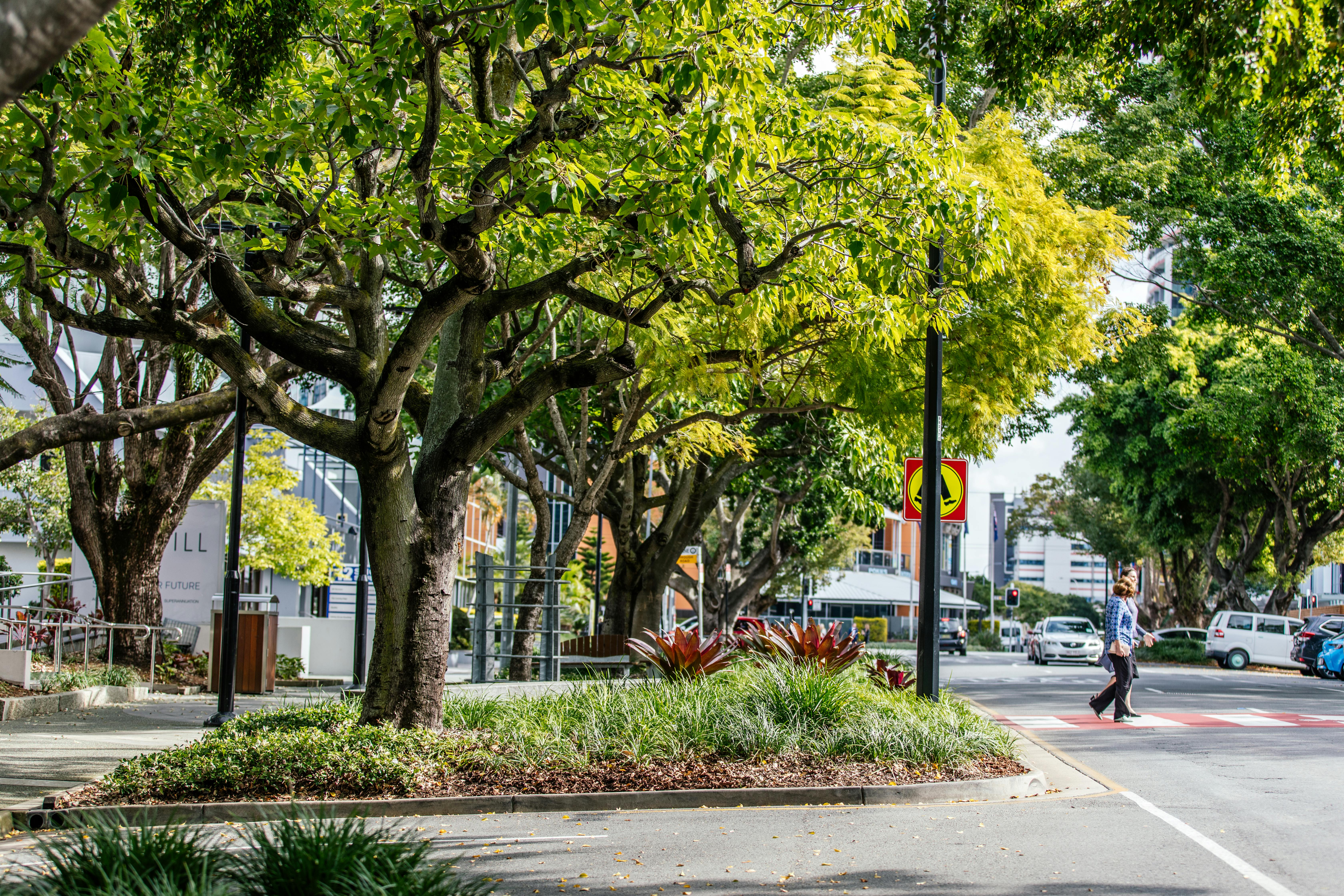 A city with healthy, safe and green streets (Short Street - Southport)