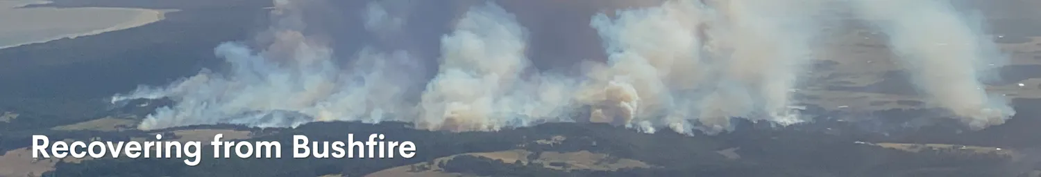 Recovering from Bushfire