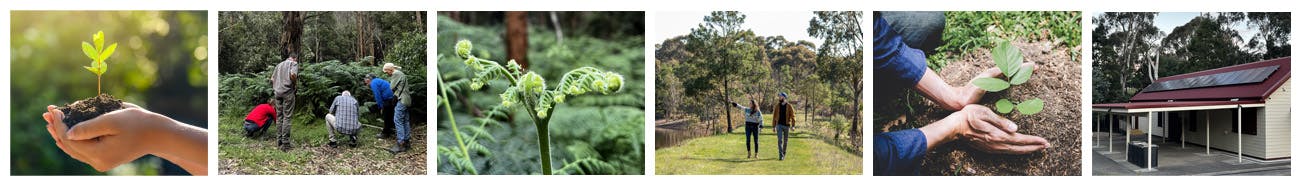 Series of pictures showing green trees, people in the environment and solar on a building