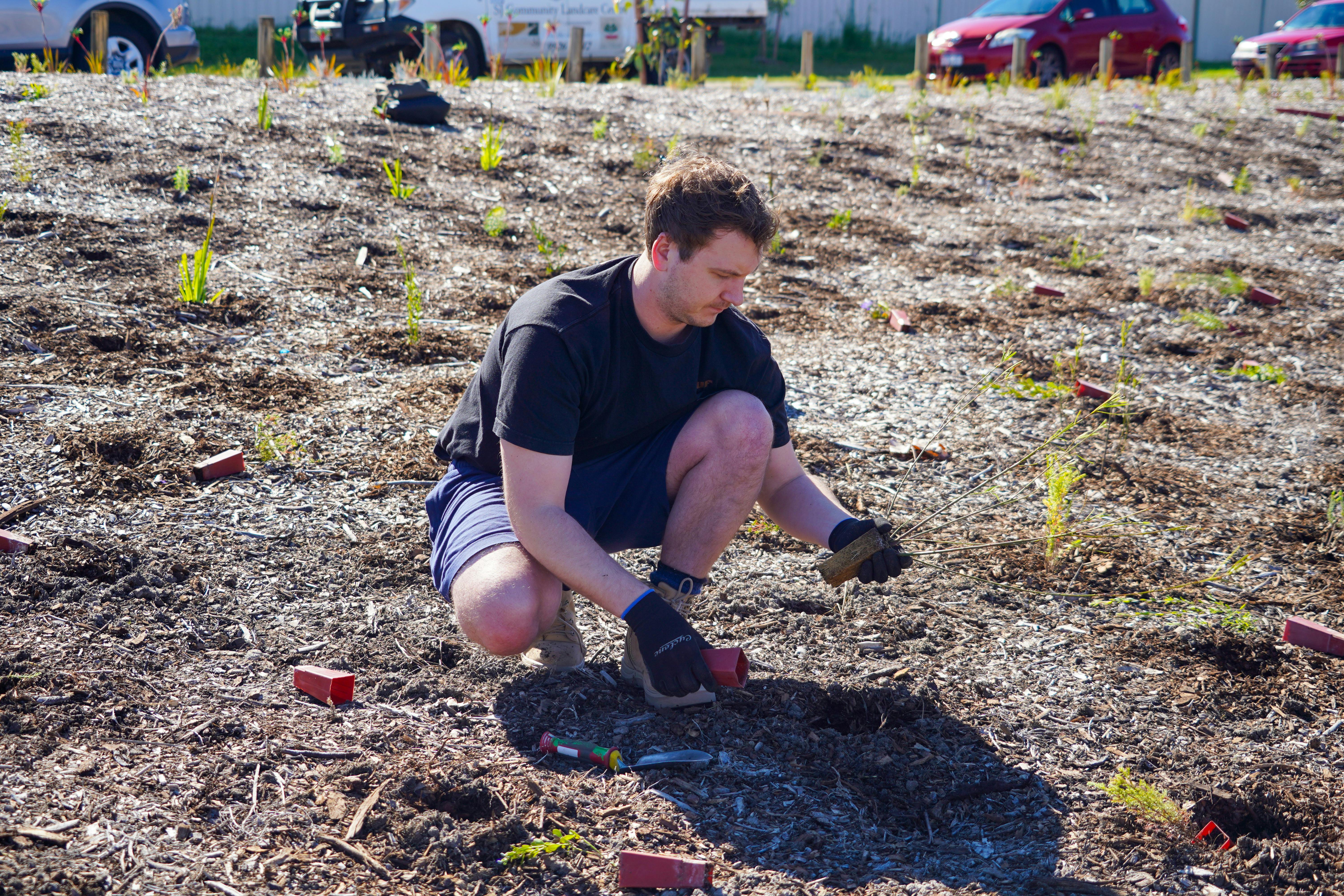 Groundlark Park Planting - Jesse Collins 17.jpg