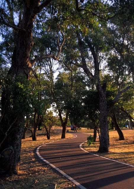 Canning River Regional Park - Photograph submitted by Dennis Friend, member of Canning's Workshop Camera Club