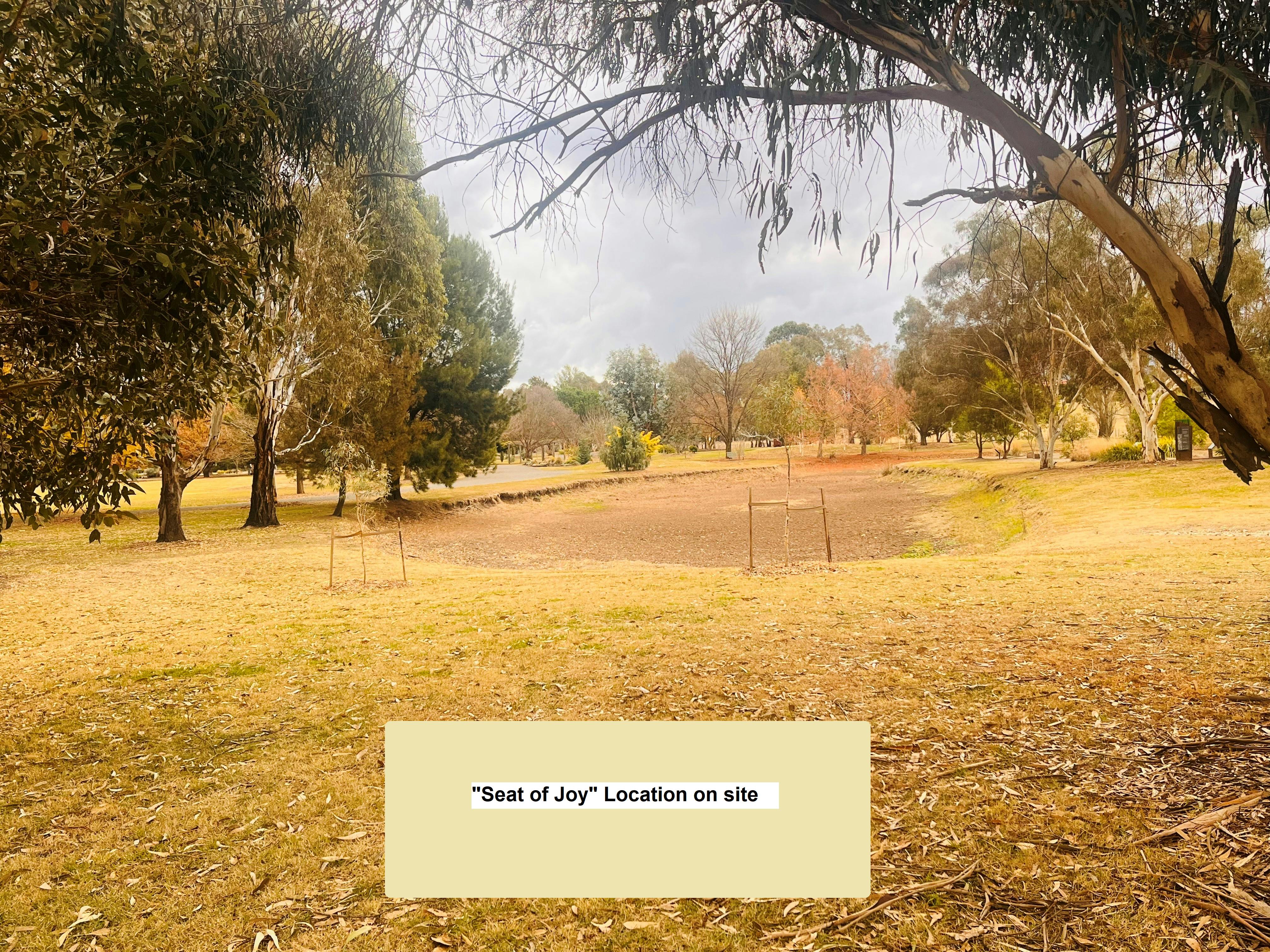 Proposed Location of seat of joy on site.png