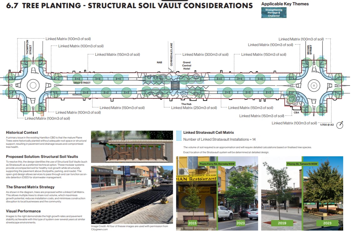 TreePlantingSoilVaultConsiderations.png