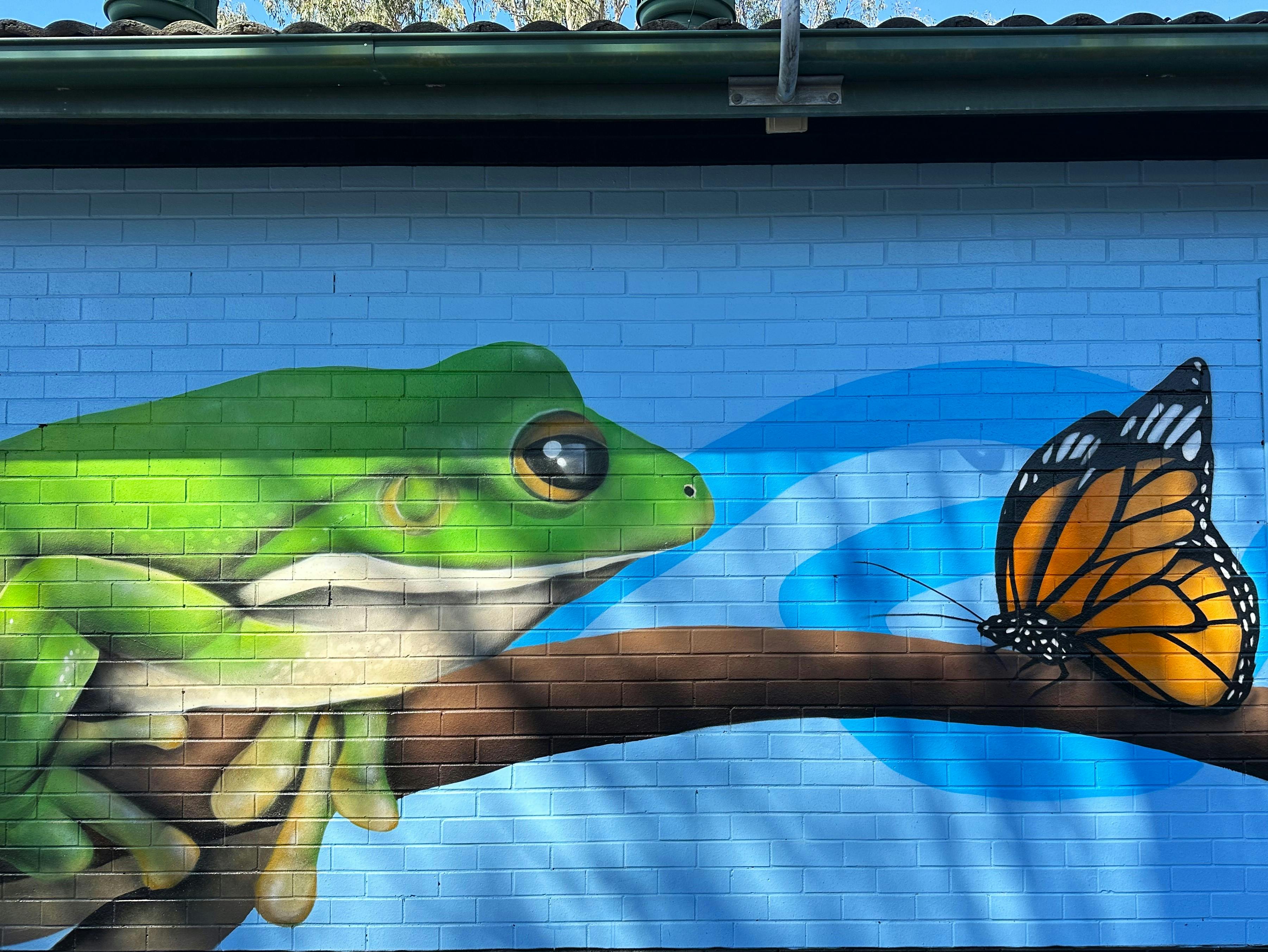 Green tree frog and native butterfly featured on the newly painted mural in Bray Park