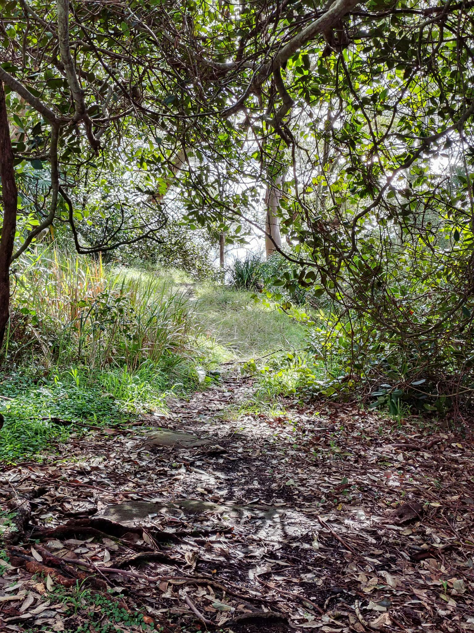 Bundeena Memorial Reserve 1.jpg