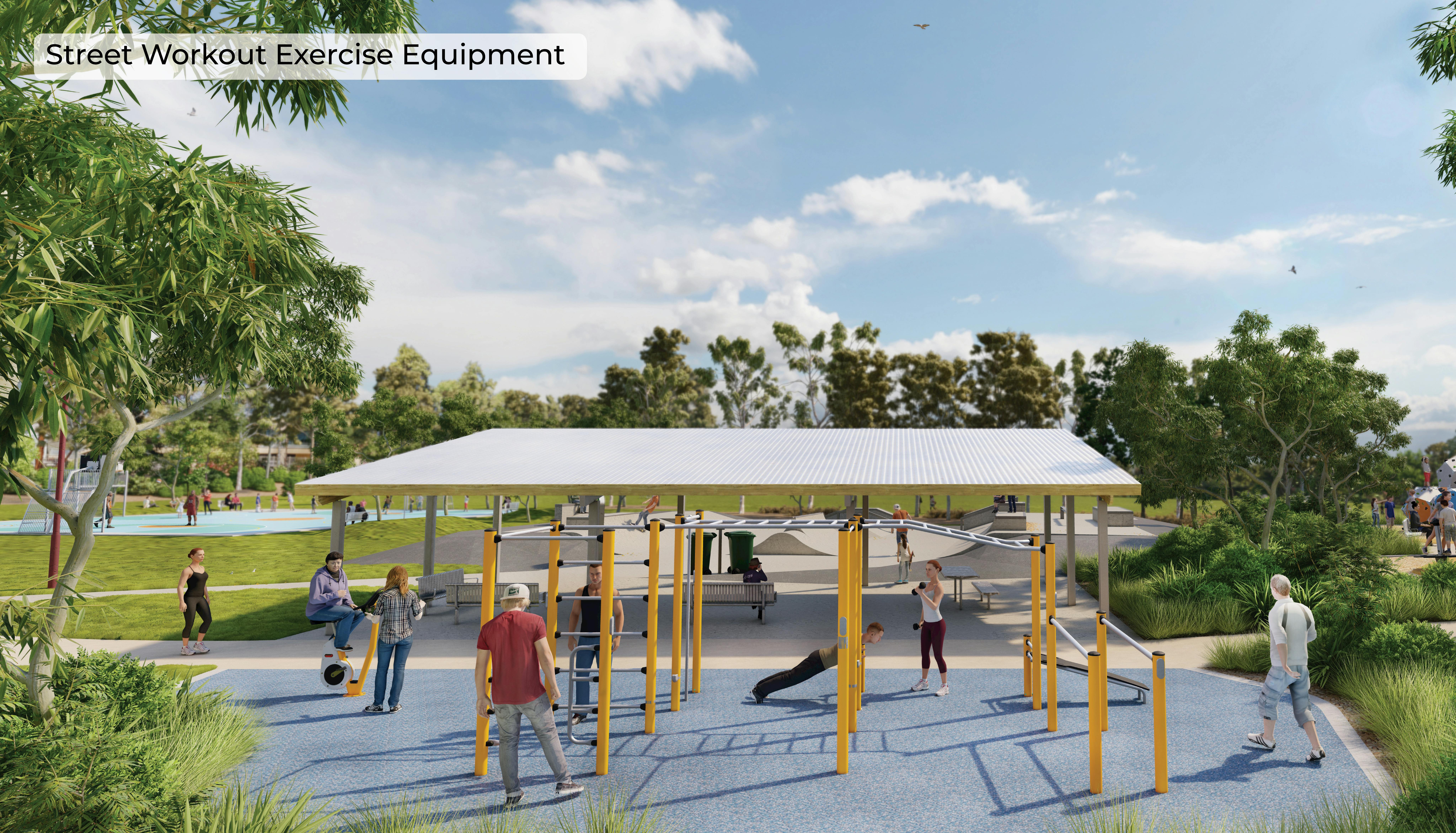 Street workout equipment.jpg