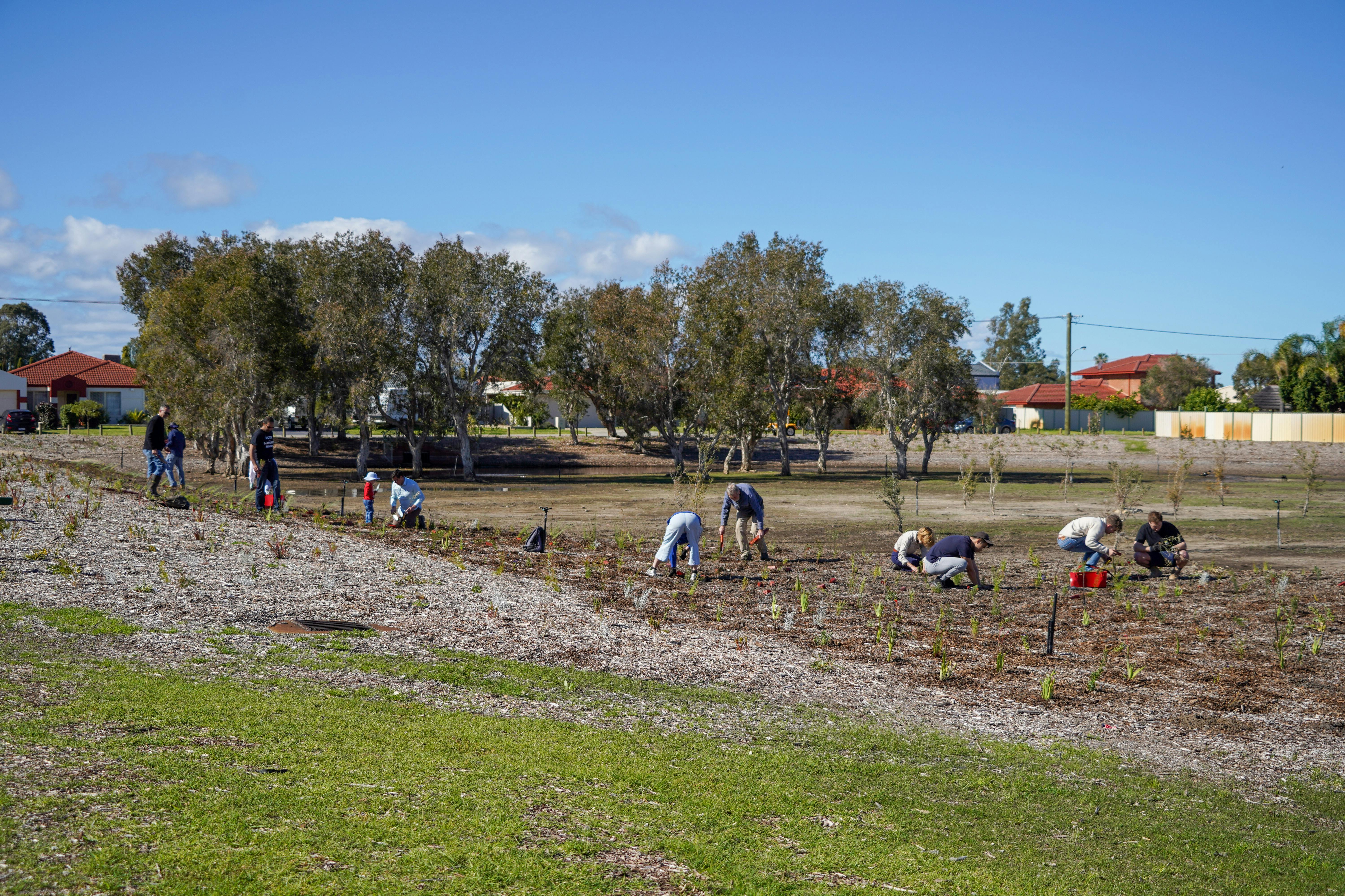 Groundlark Park Planting - Jesse Collins 20.jpg