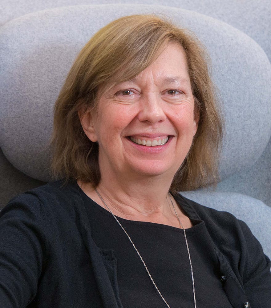 Team member, Professor Carol Kulik