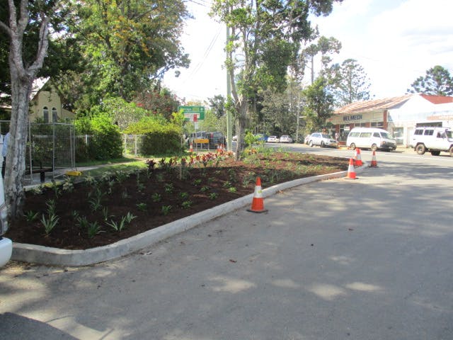 Early view of tree plantings 25-10-17