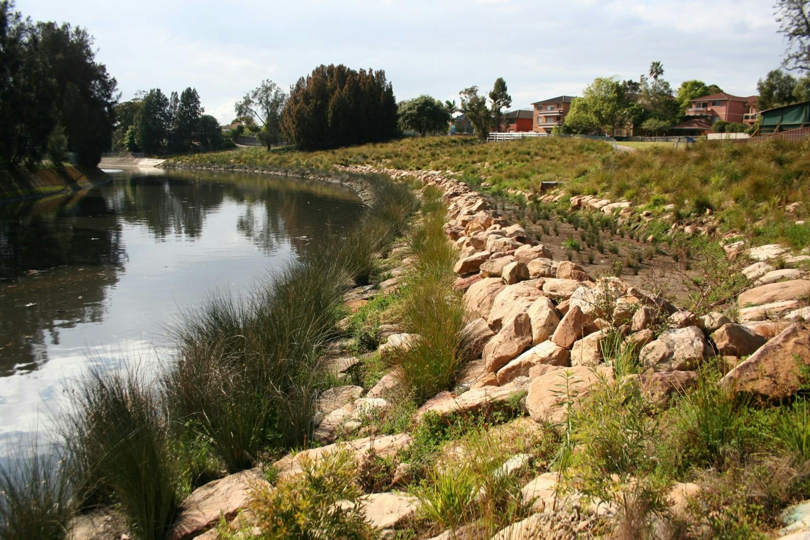 Example of a previous naturalisation project