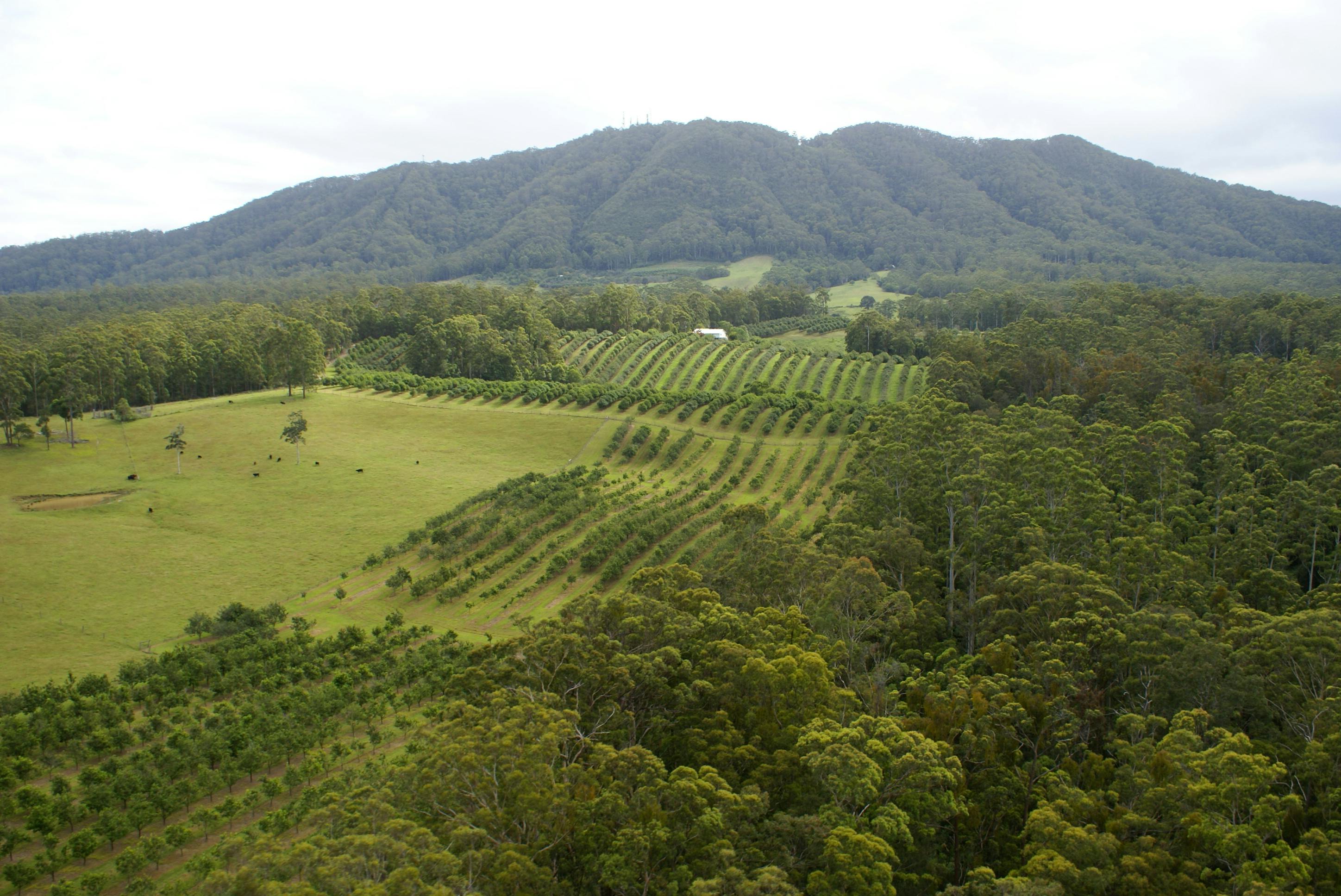 Macleay Valley