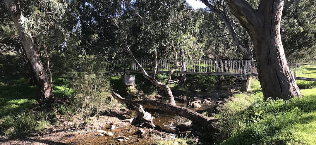 Tanunda Creek in flow at Bethany Reserve