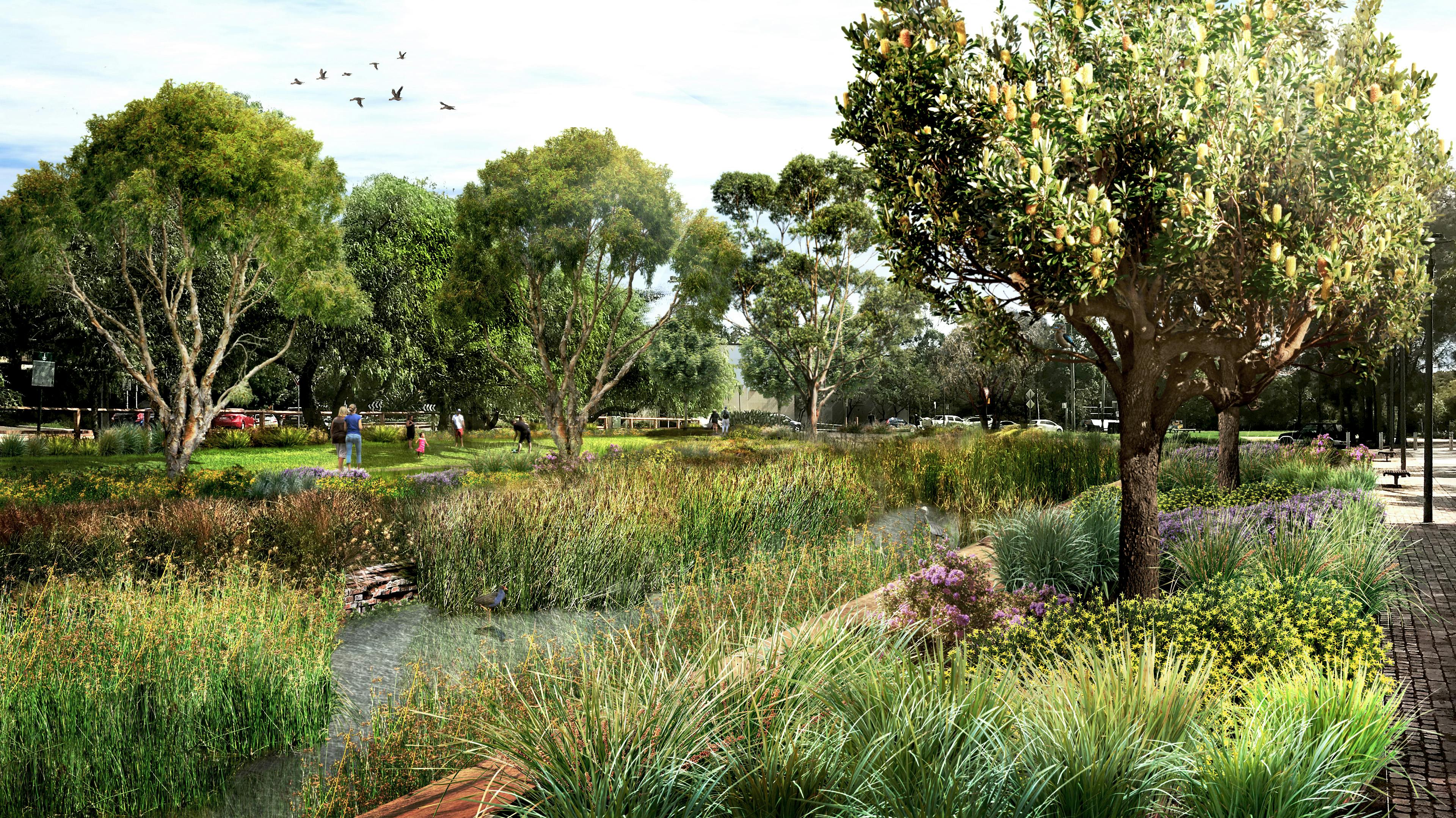 An artist's impression of Federal Park once the wetland has been created.