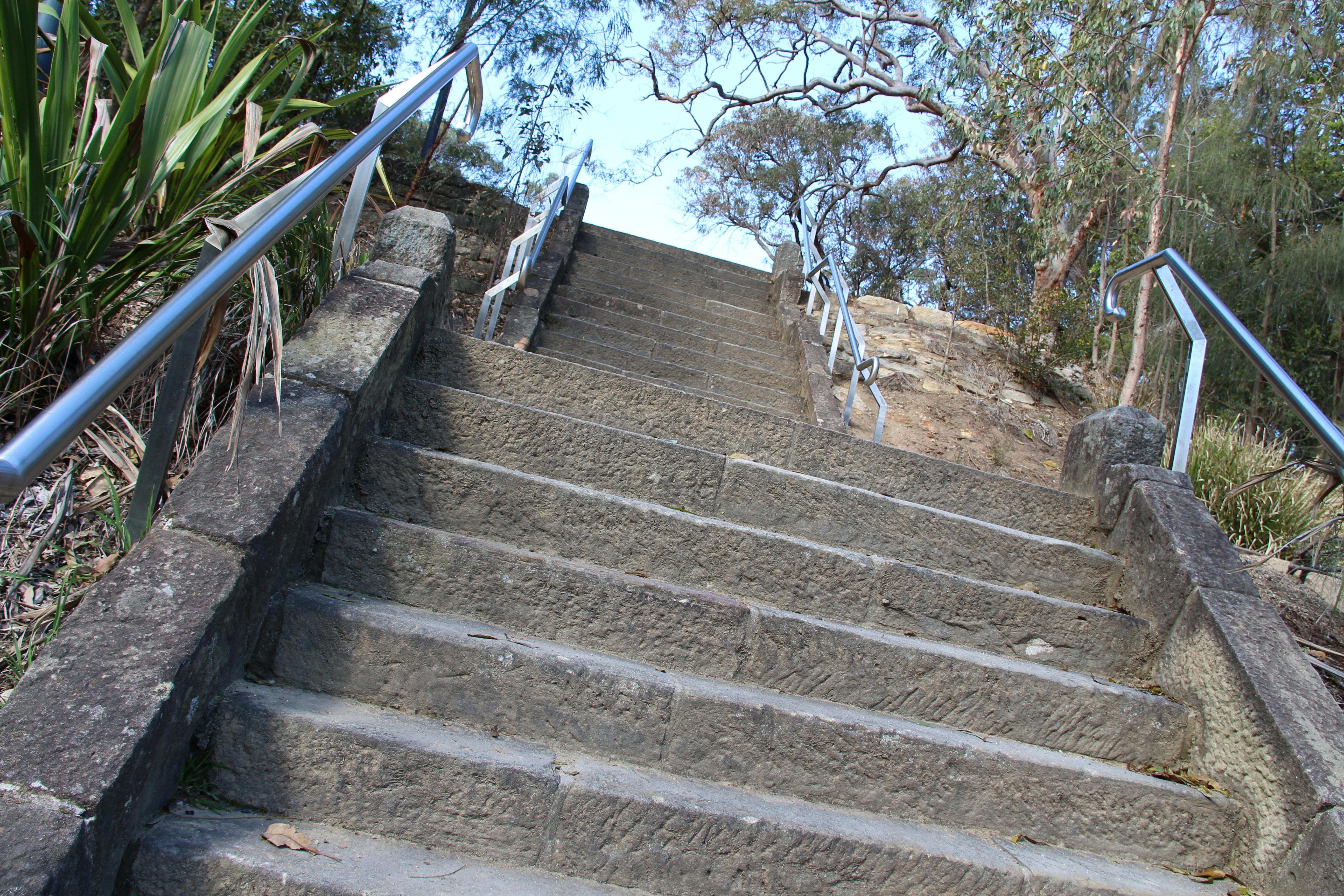 Stairs along the trail