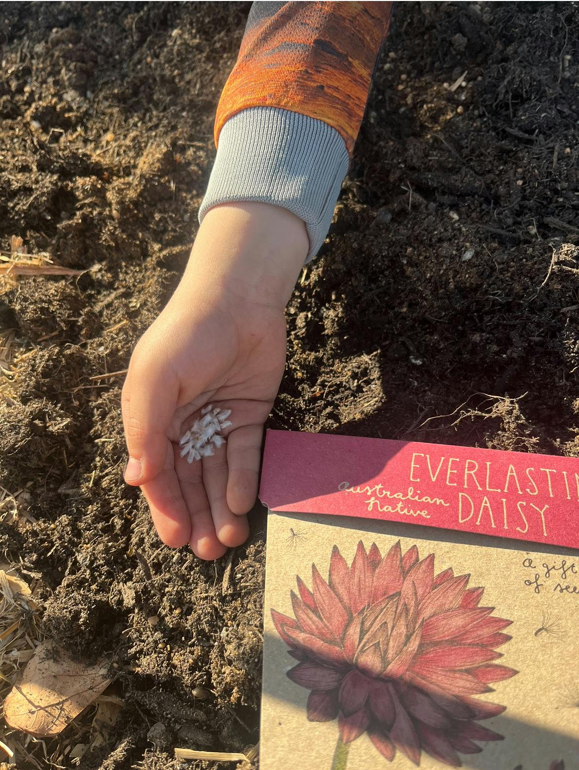 Eco Warrior Paradise.jpeg