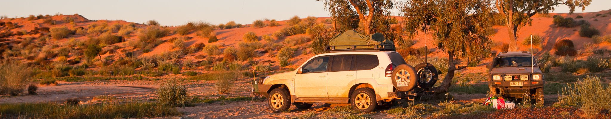White 4Wheel drive car on dirt road, driving through red desert with green vegetation, yellow flowers on bush in foreground,