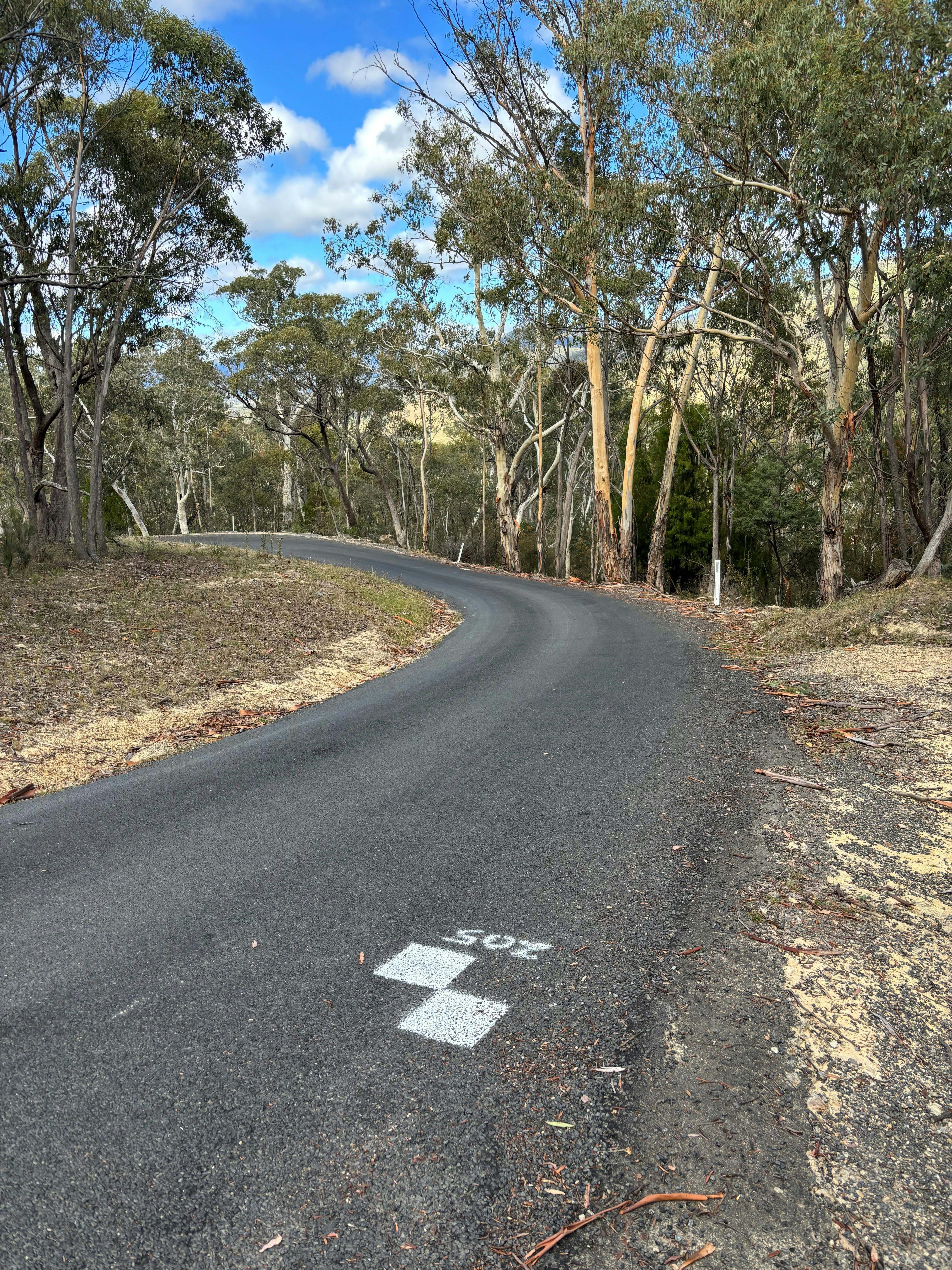 20250307 - Survey marker - Brindabella Road Upgrade Project.jpg