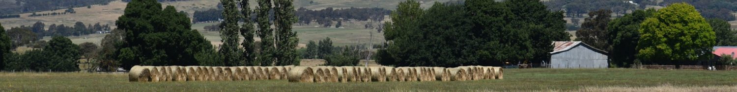 project banner