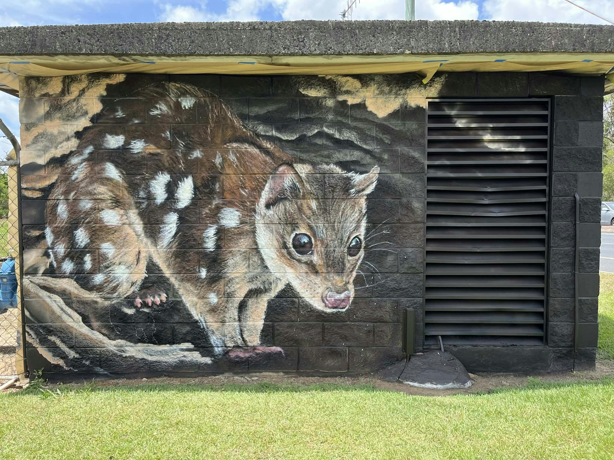 Quoll 