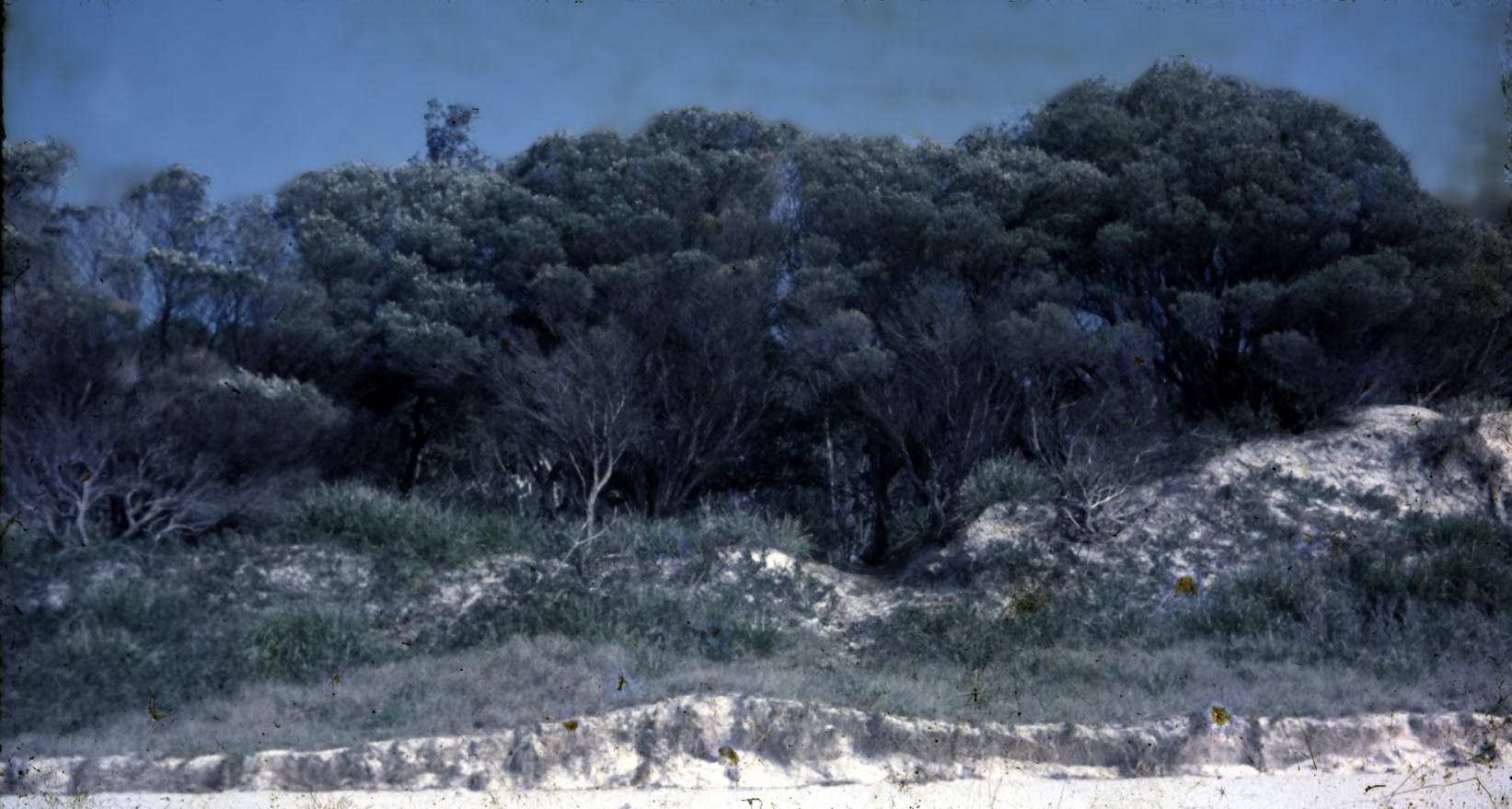 Collingwood Beach - circa 1960s