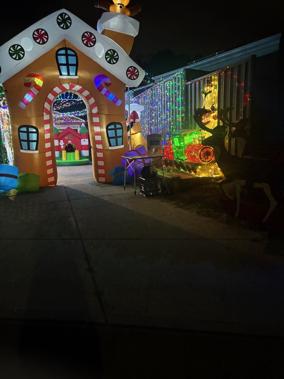 Christmas Wonderland 