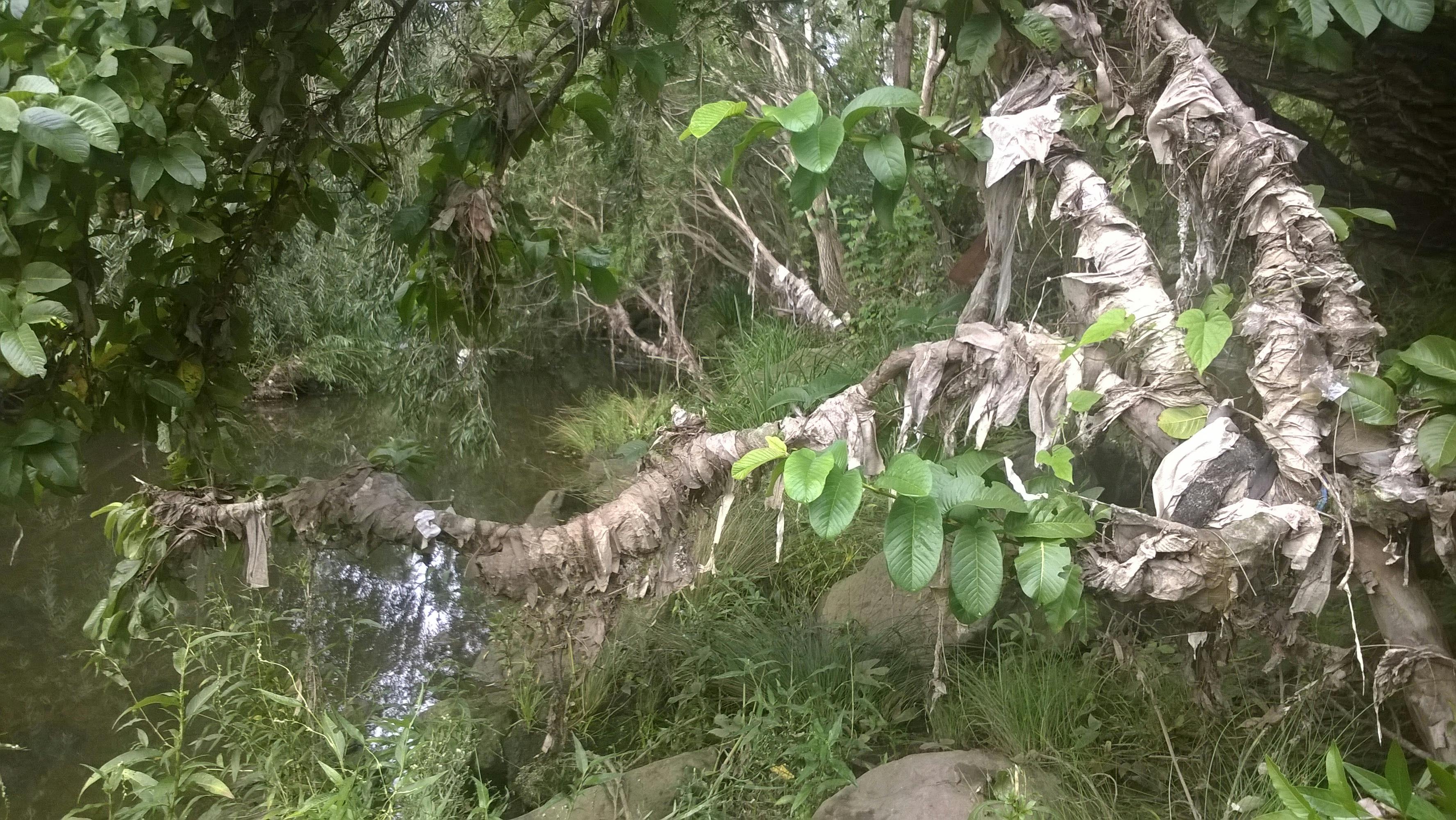 Wipes and creeks do not mix