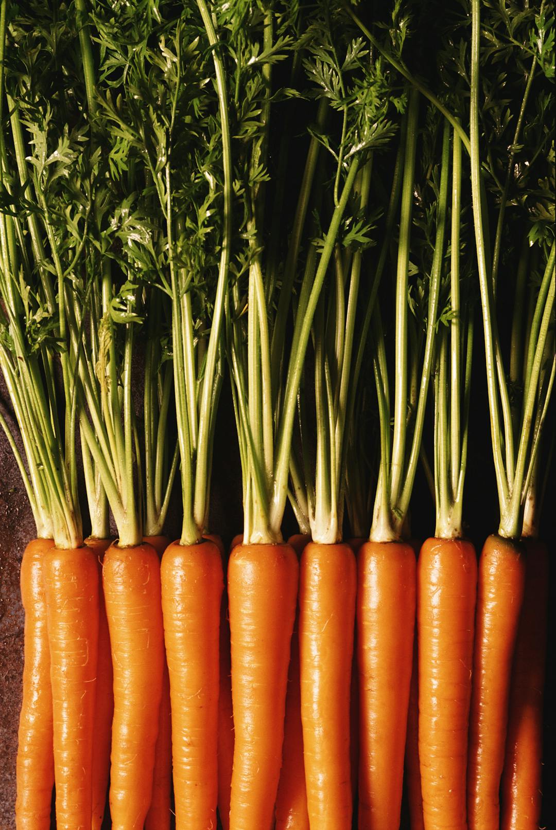 Image of a bunch of carrots