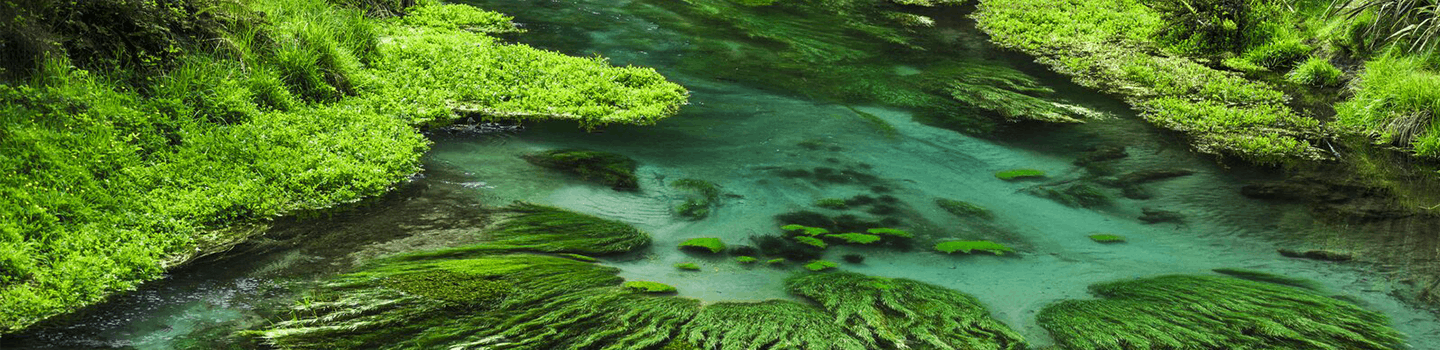 Image of lake