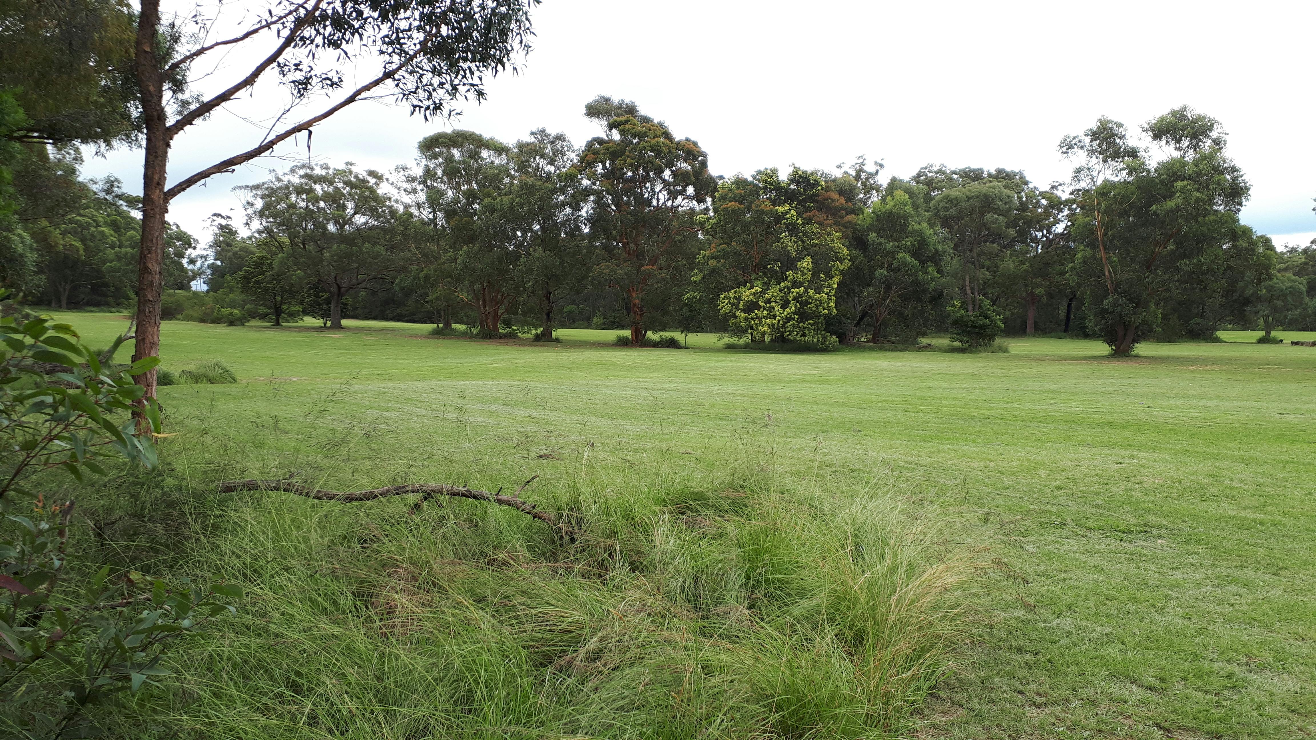 Looking from cemetery