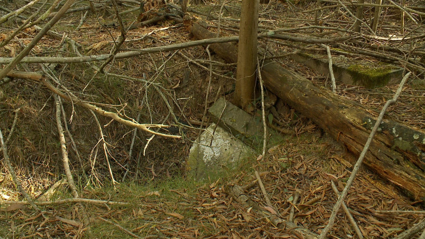 There are several sunken graves in the Cemetery