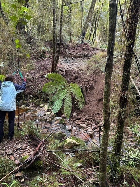 Lake Brunner Scenic Trail Committee