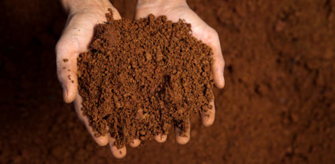 Uncontaminated dirt