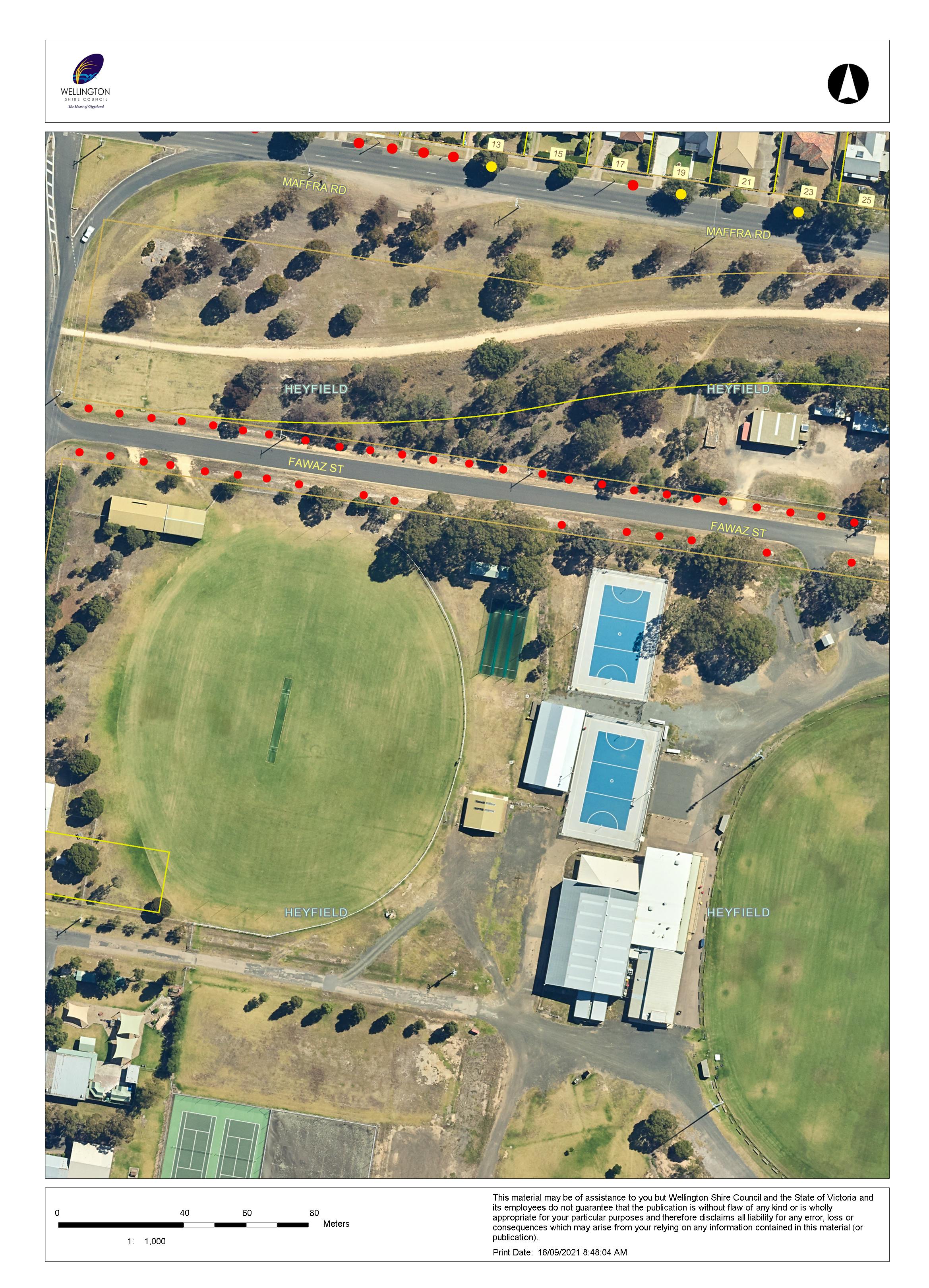 Heyfield Town Tree Plan (Yr3) - Map 1