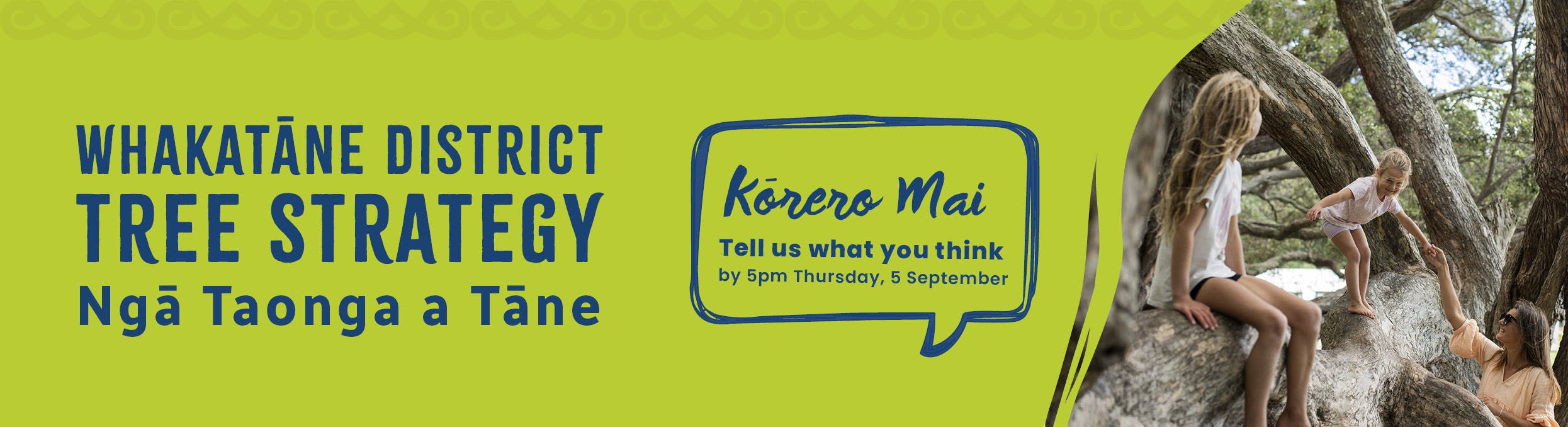 Whakatāne District Tree Strategy - Have Your Say