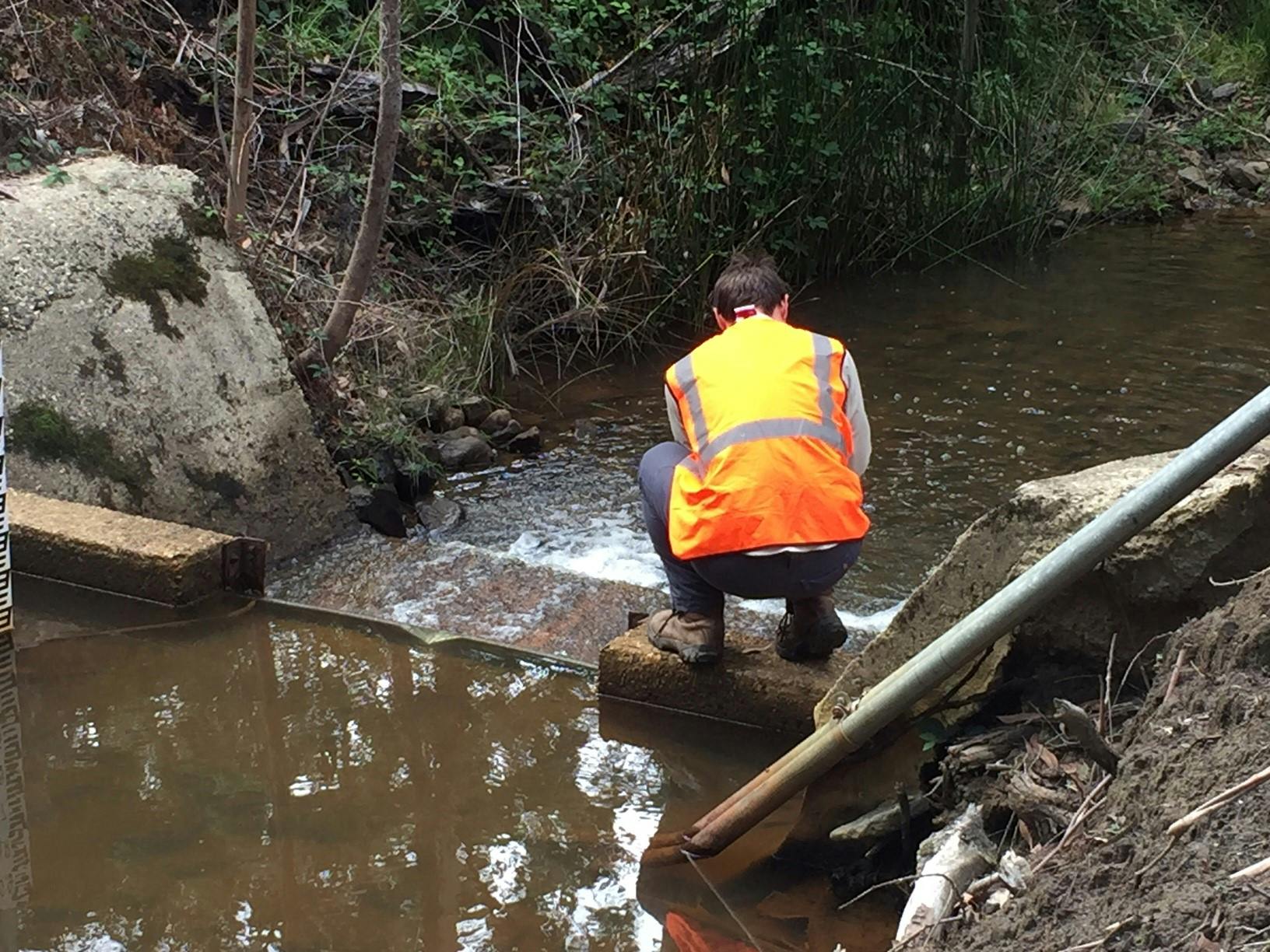 Platypus survey at Boundary Creek