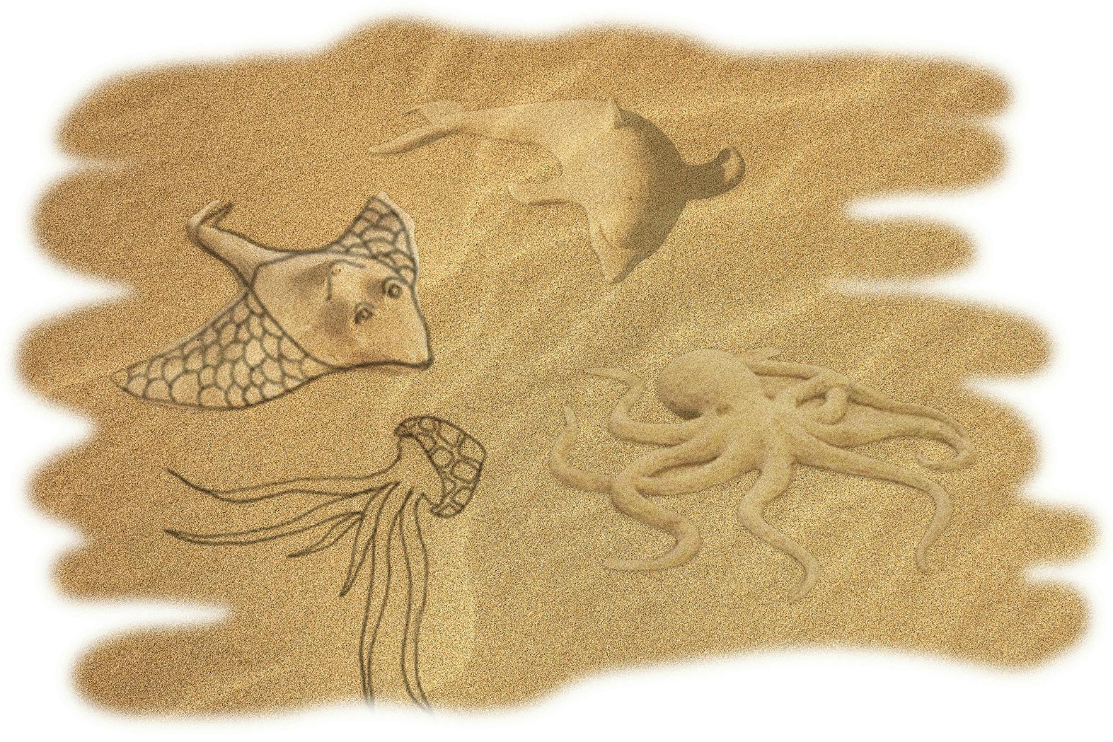 Fantastical creatures in the sand