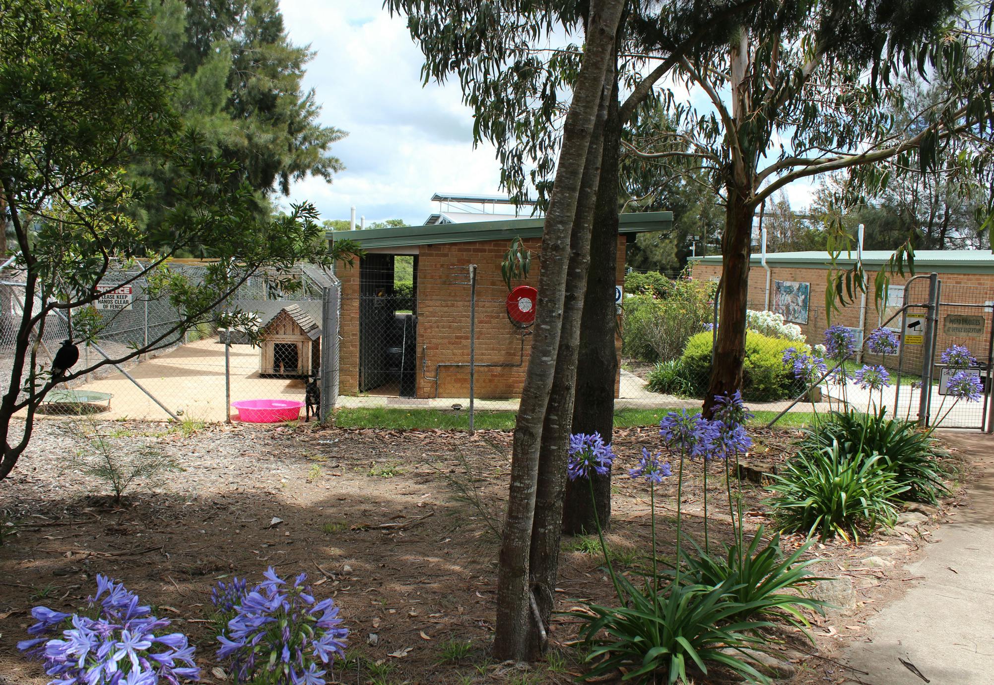 Kennels Area