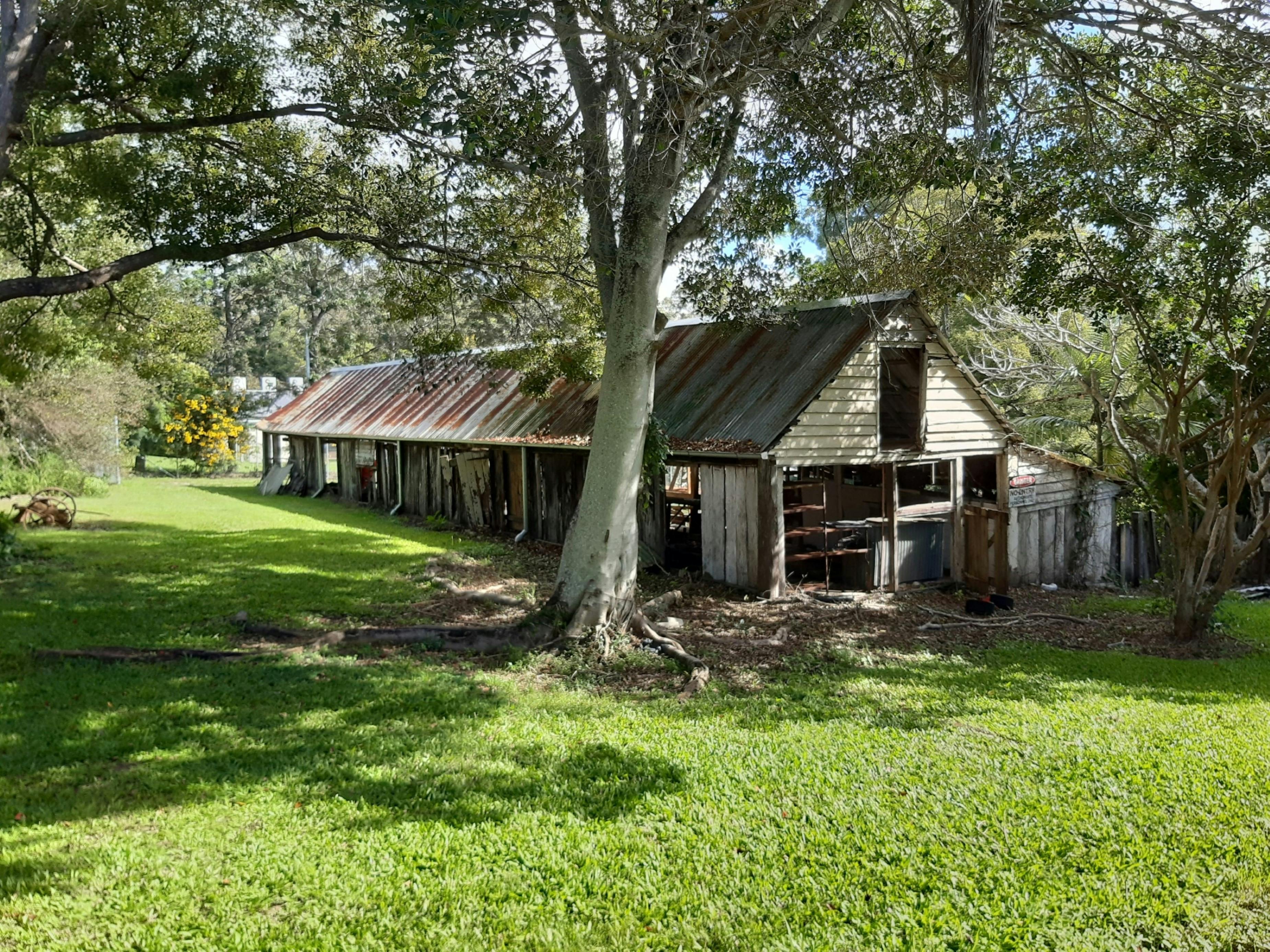 Milking shed at Willards Farm