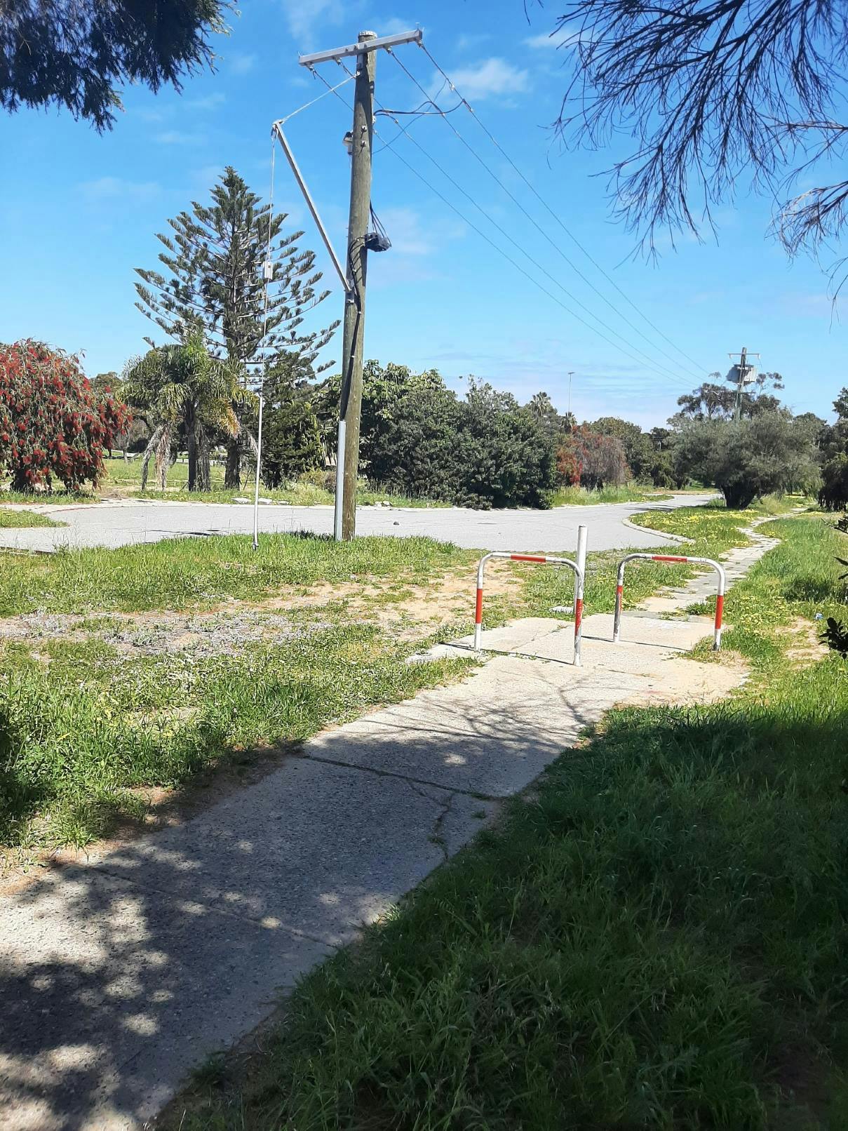 PAW Fifth-OReilly 2.jpg