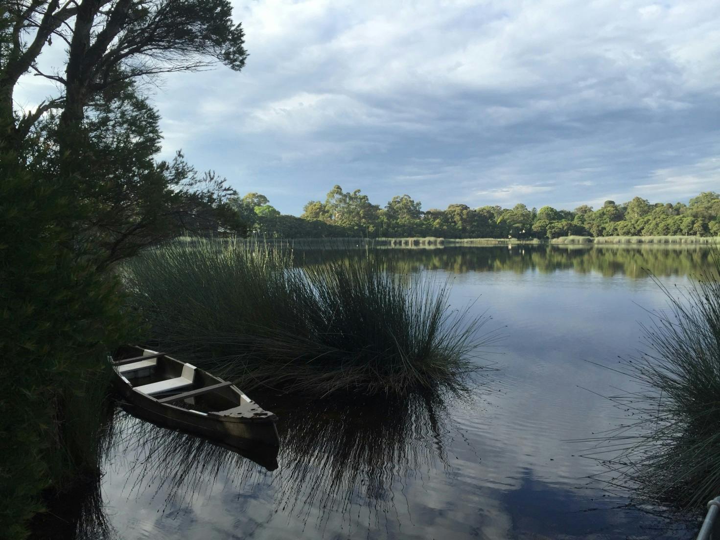 A beautifully still January morning at Glenbrook Lagoon.We are so fortunate to have this tranquil lagoon in our backyard .Its a haven for the community , a sanctuary for the local wildlife and one of the Blue Mountains less known treasures.