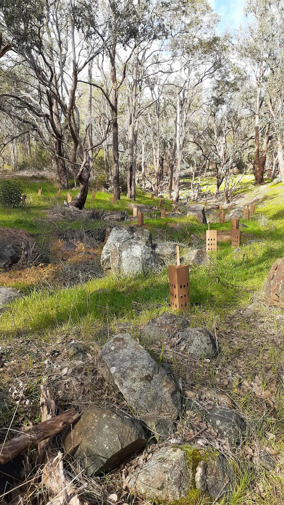 Korribinjal Brook