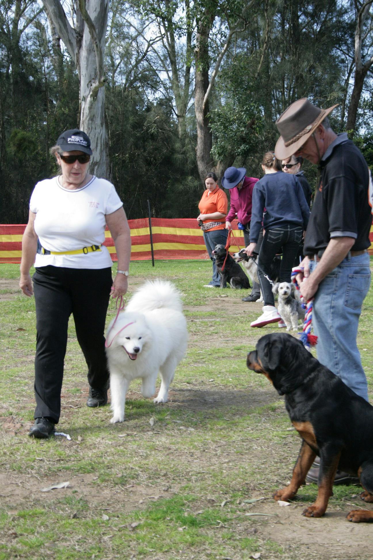 Milperra Off Leash Dog Park Milperra Off Leash Dog Park